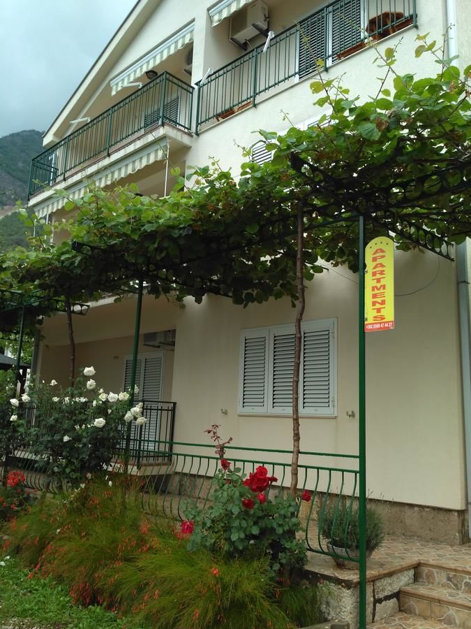 Апартаменты Apartmani Villa Radovic Рисан-31