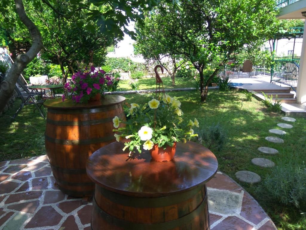 Апартаменты Apartmani Villa Radovic Рисан