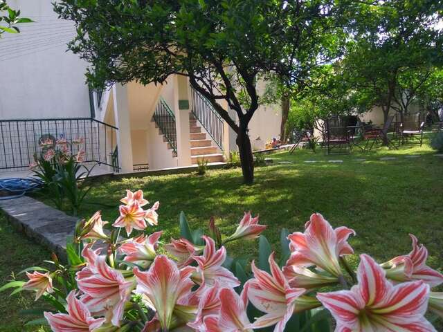 Апартаменты Apartmani Villa Radovic Рисан-53